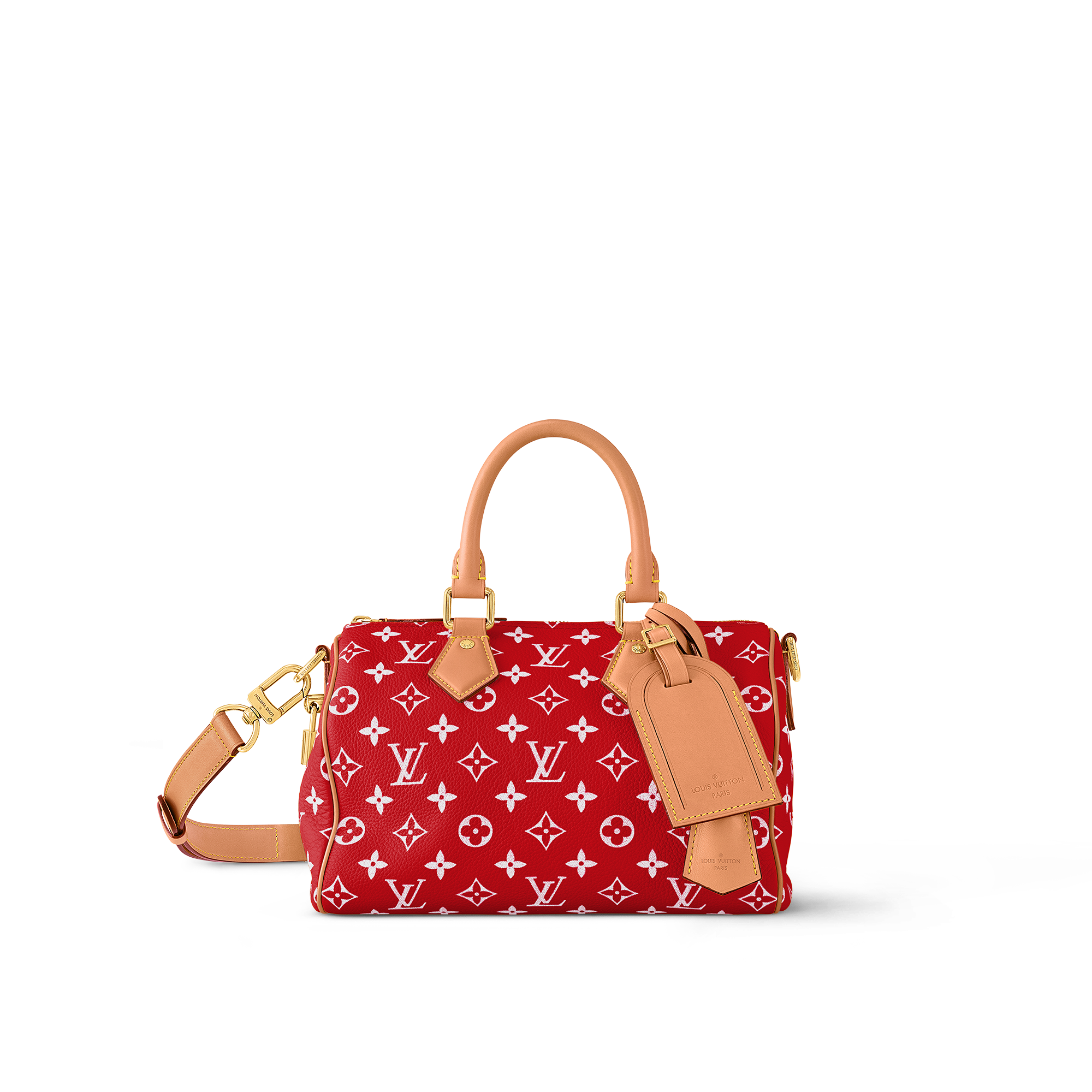 Speedy P9 Bandoulière 25 Autres Cuirs Monogram - Men Bags | LOUIS VUITTON